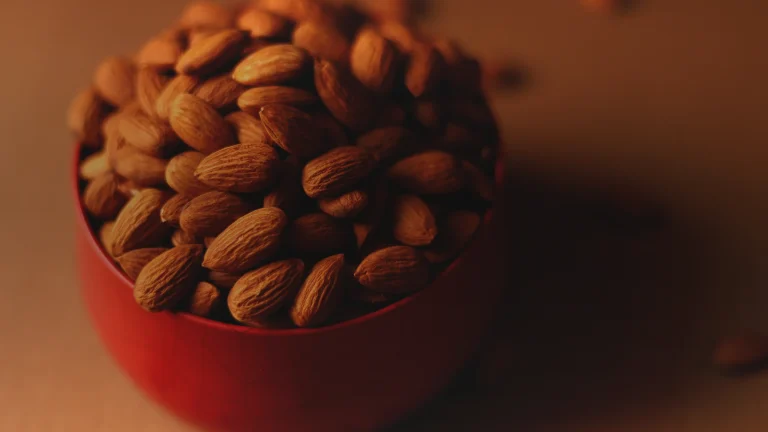 Calcium sans lait : les sources qui comptent vraiment