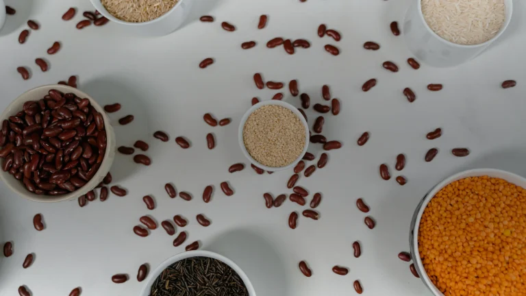Fibres alimentaires : quel apport par jour, vraiment