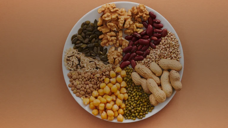 Zinc et alimentation : besoins, aliments et absorption