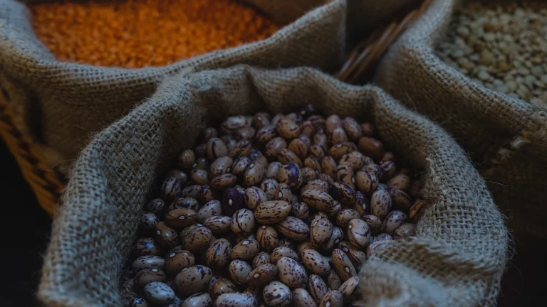 Diverticulite : aliments à éviter, à reprendre et à garder