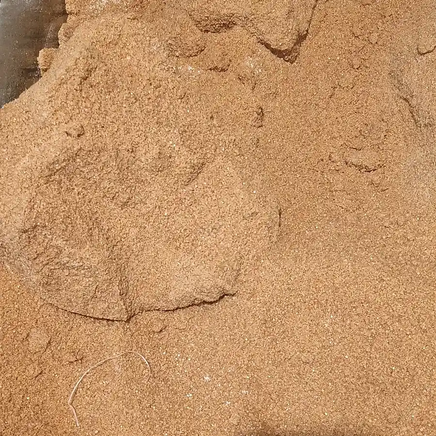 Sucre roux en poudre vu de près, grains ambrés et légèrement humides