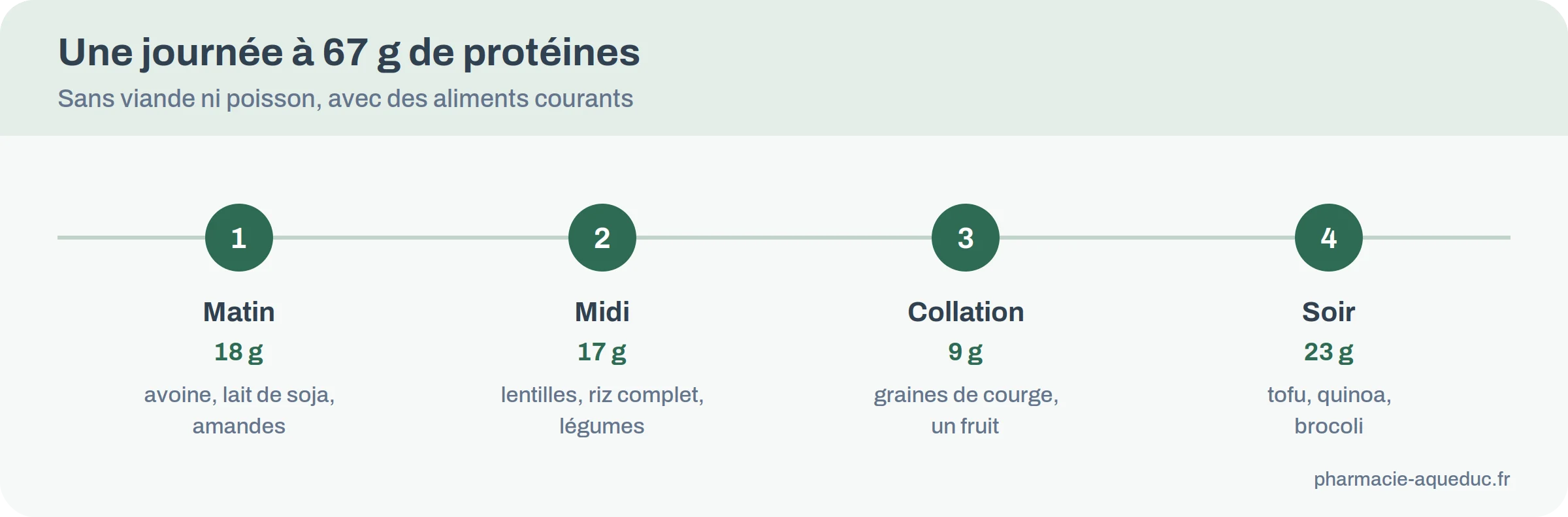 Journée type à 67 grammes de protéines végétales : petit-déjeuner 18 g, déjeuner 17 g, collation 9 g, dîner 23 g
